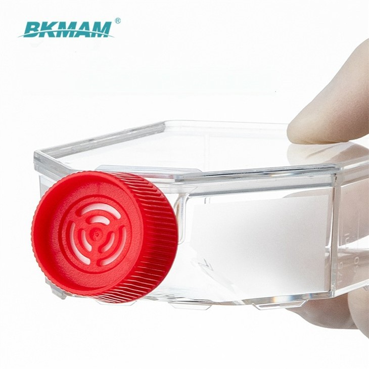 Transparent Sterile TC Treated Cell And Tissue Culture Flask T75